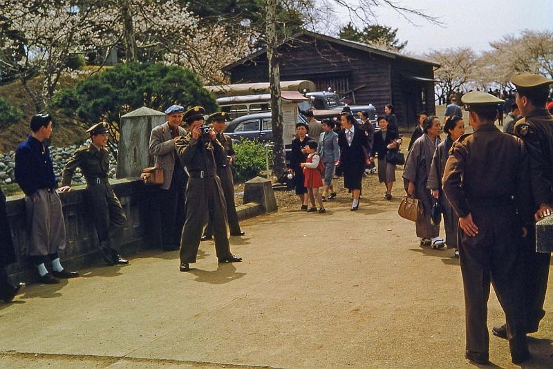 1953 Japan 137 Sakura Day 1953.jpg